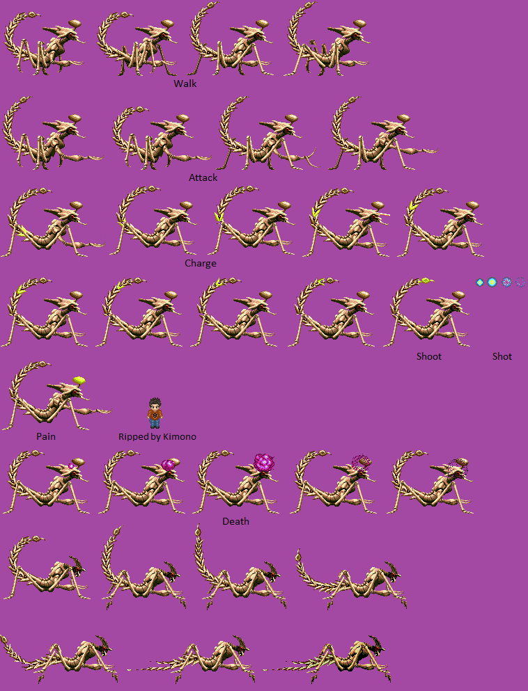 Scorpion