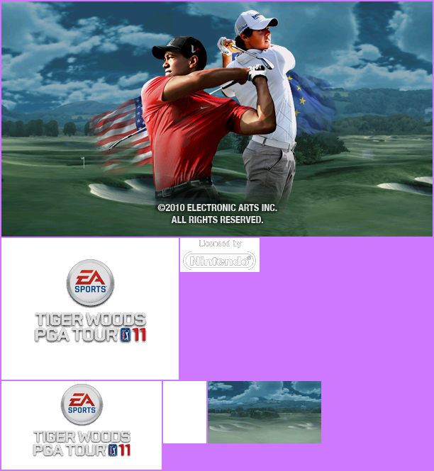 Wii Menu Banner & Icon