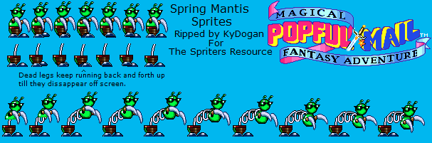 Spring Mantis