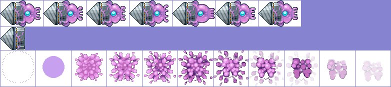 Drill-head Squid