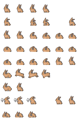 Rabbit (Spot)