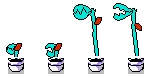 Man-Eating Plant