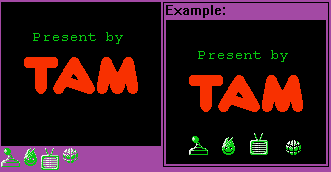 Tamsoft Startup Screen