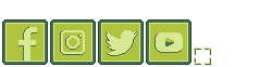 Social Media Icons
