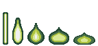 Teleport