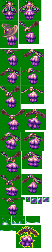 Fruit Fly