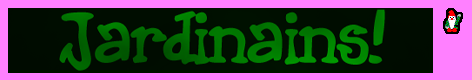 Install Logo & Game Icon