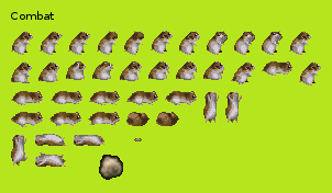 Hamster
