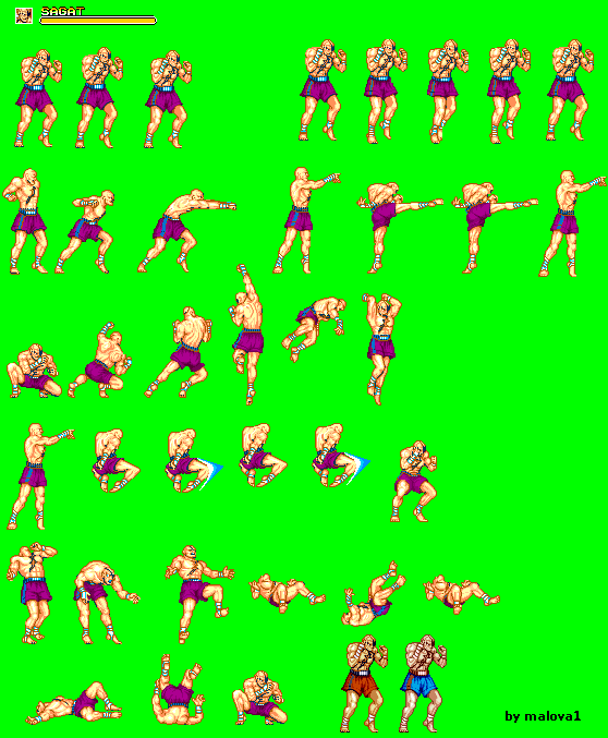 Sagat