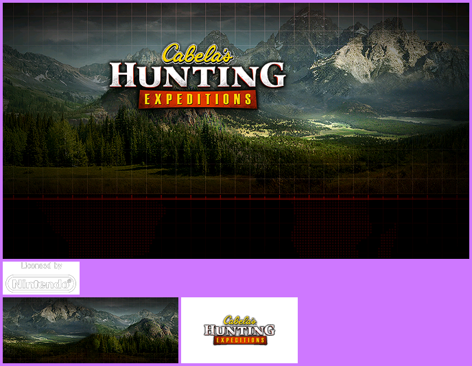 Wii Menu Banner & Icon