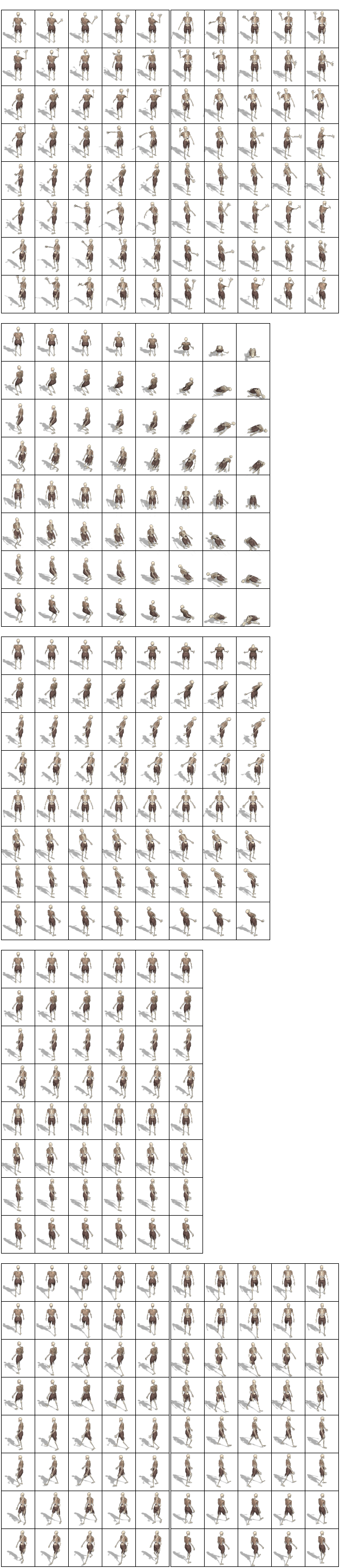 Skeleton