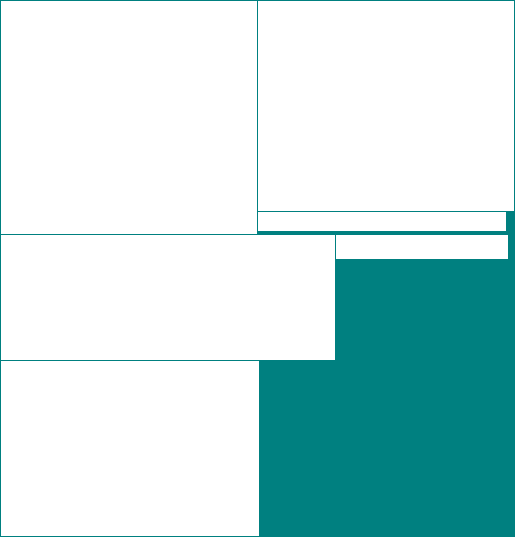 Fonts
