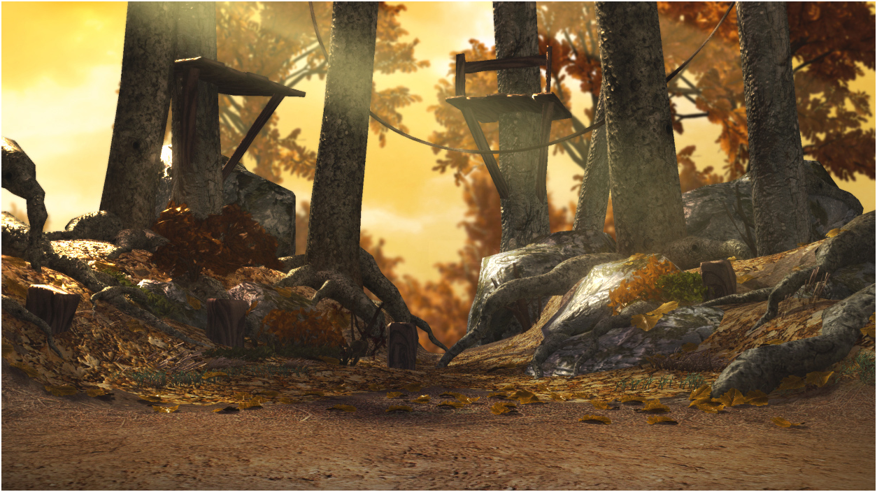 Autumn Forest