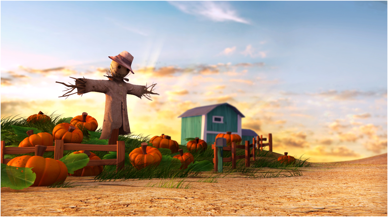 Pumpkin Patch