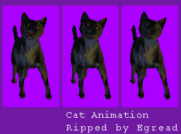 Cat Animation