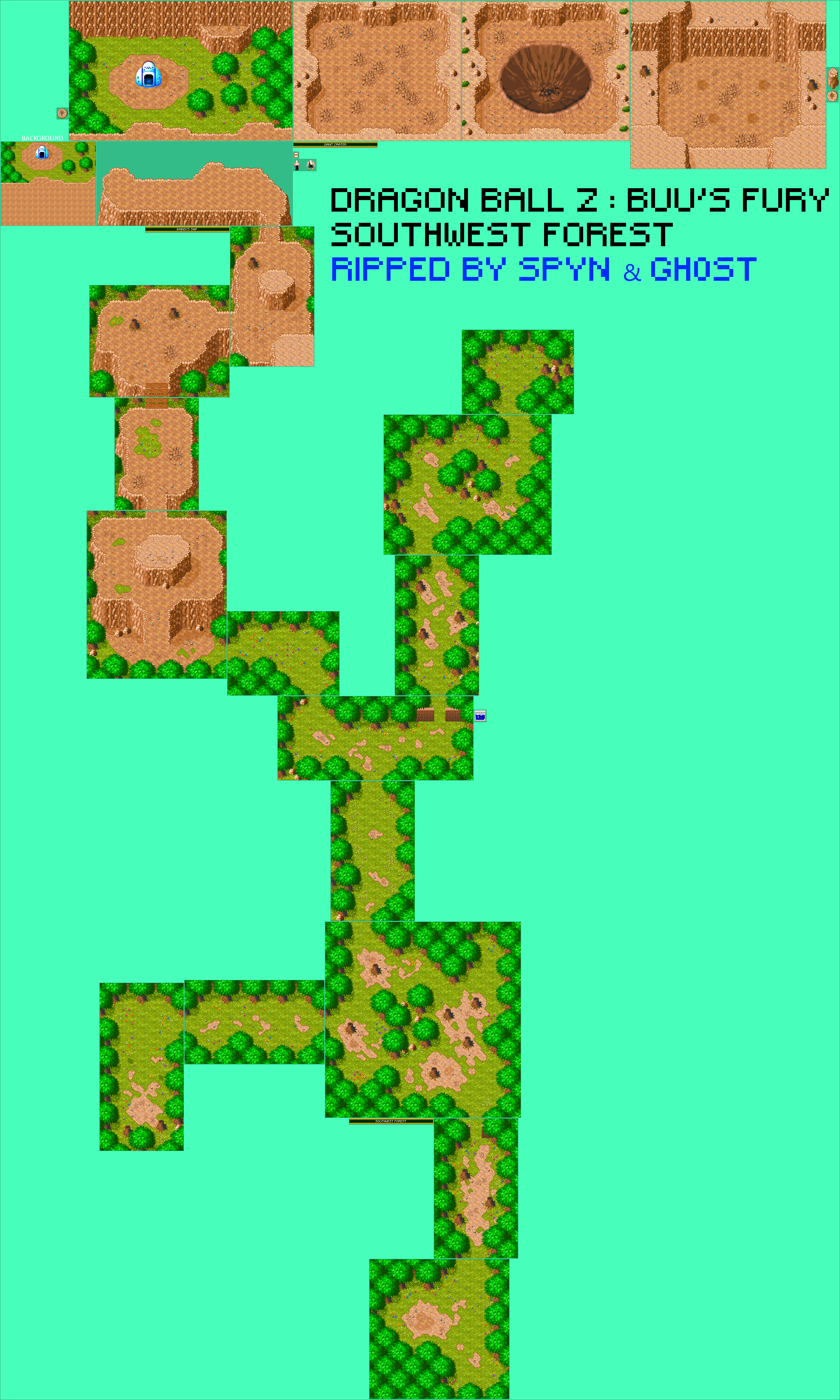 Southwest Forest