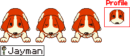 Dog