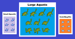 Aquatics & Misc