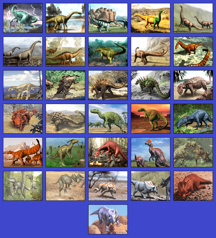 Herbivore 2
