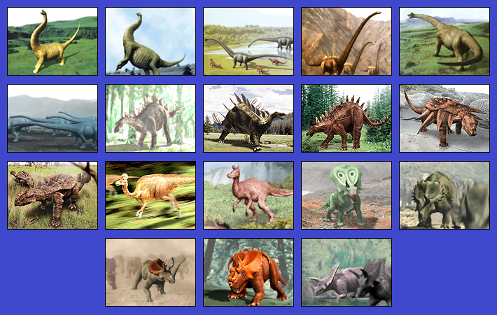 Herbivore 3