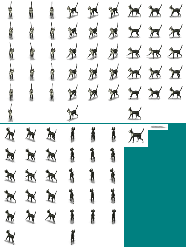 Cat 1