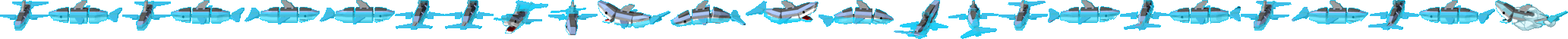 Shark