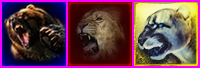 DLC Icons