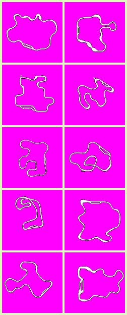 Course Maps