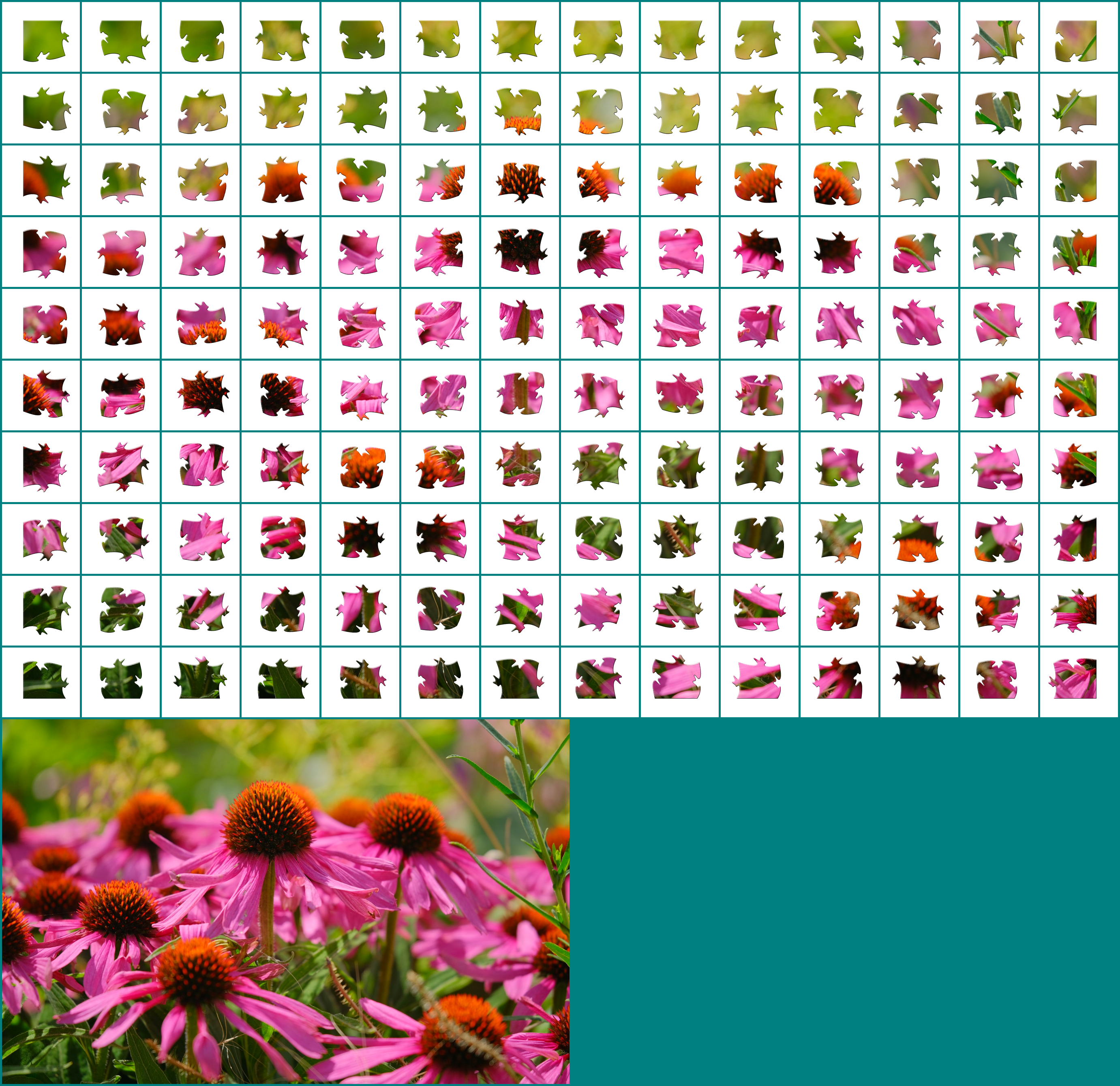 Puzzle 10