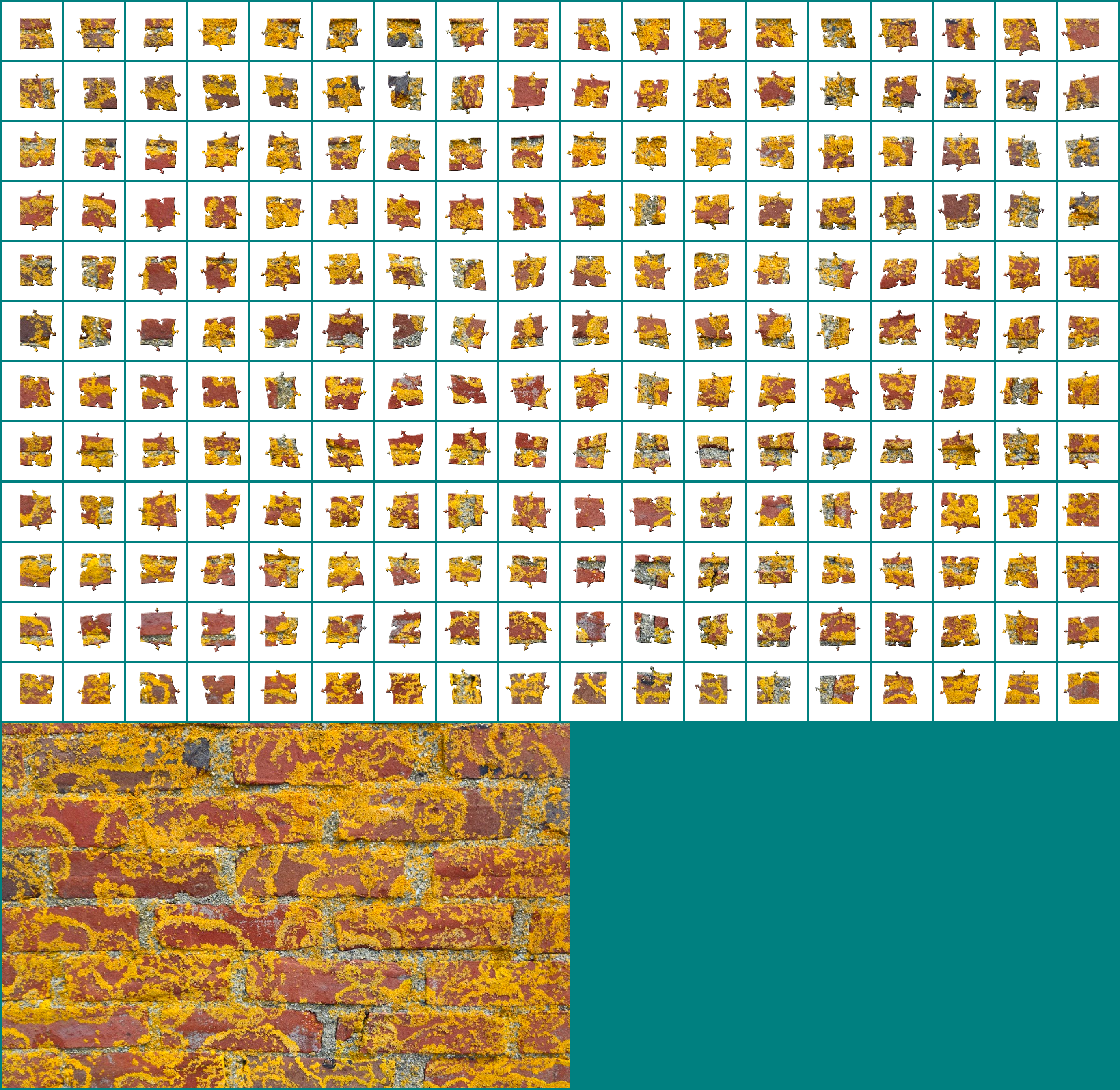 Puzzle 11