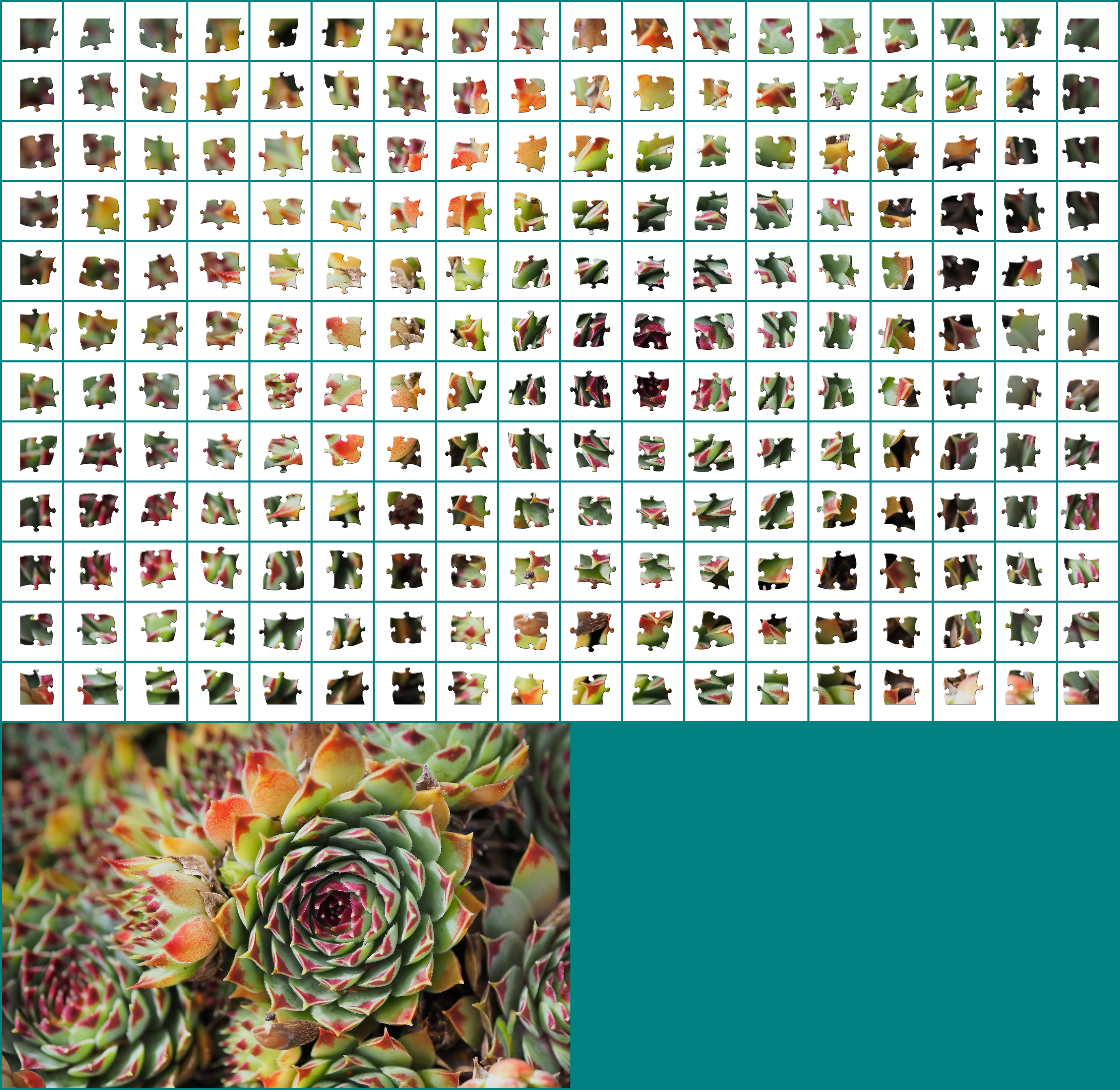 Puzzle 12