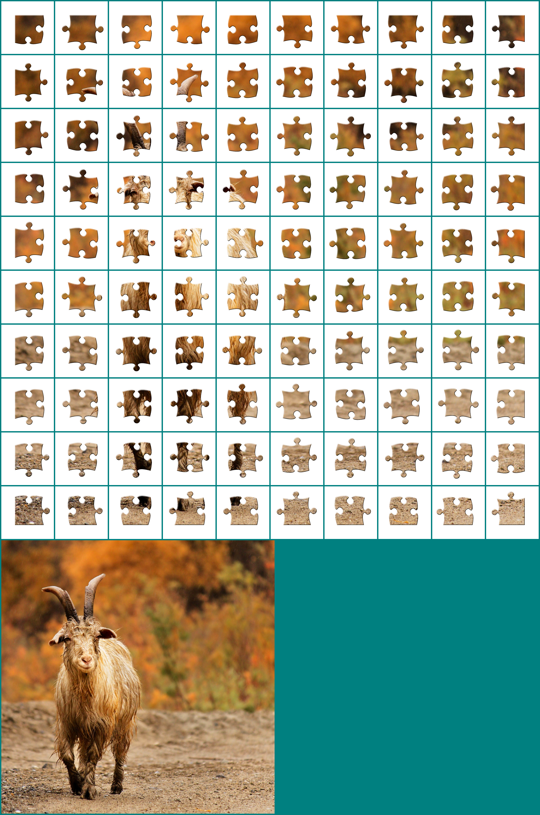 Puzzle 17