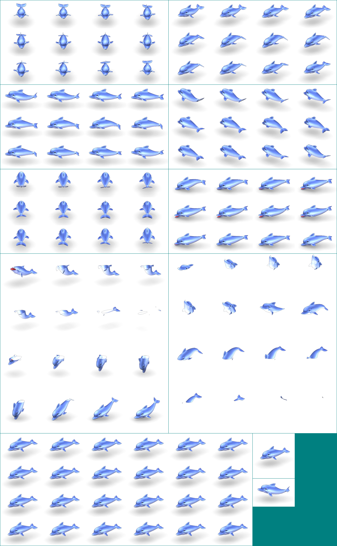 Dolphin