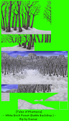 Tales of Phantasia (JPN) - White Birch Forest (Battle Backdrop)