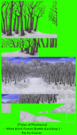 White Birch Forest (Battle Backdrop)