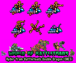 Battletoads & Double Dragon: The Ultimate Team - Ryder