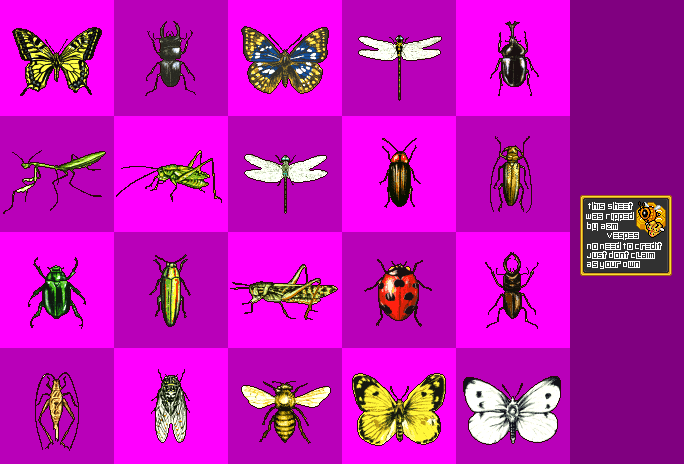 Insects