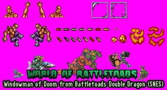 Battletoads & Double Dragon: The Ultimate Team - Windowman of Doom