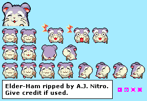 Hamtaro: Rainbow Rescue - Elder-Ham