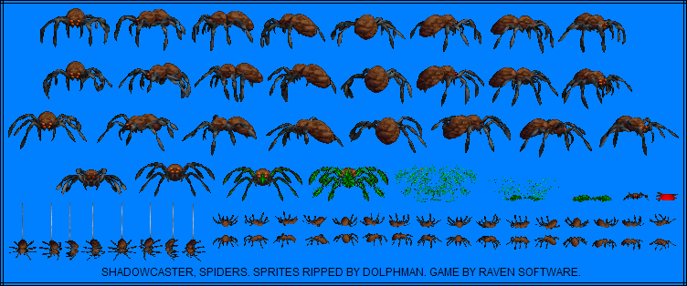 Spiders