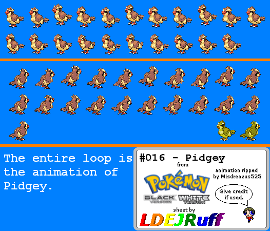 Pokémon Black / White - #016 Pidgey