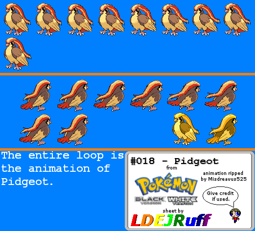 Pokémon Black / White - #018 Pidgeot