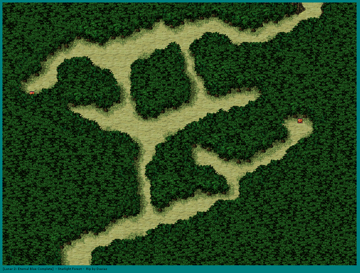 Starlight Forest