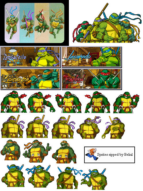 Turtles Portraits