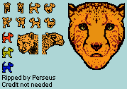 Animorphs - Cheetah