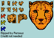 Cheetah