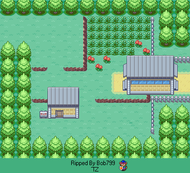 Pokémon FireRed / LeafGreen - Route 07