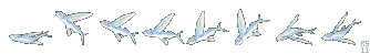 Umihara Kawase Shun (JPN) - Flying Fish