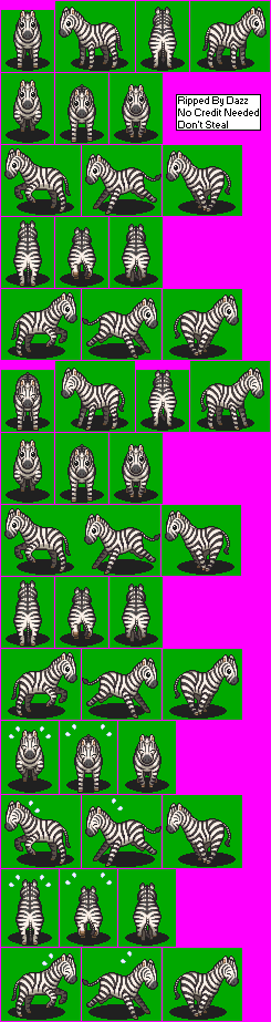 Zebra