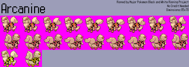 Pokémon Black / White - #059 Arcanine